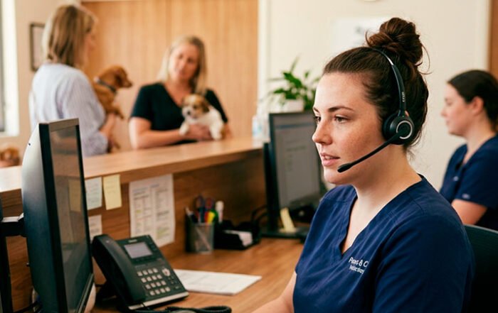 Alternativa a Enreach: centralita virtual con consultoría incluida